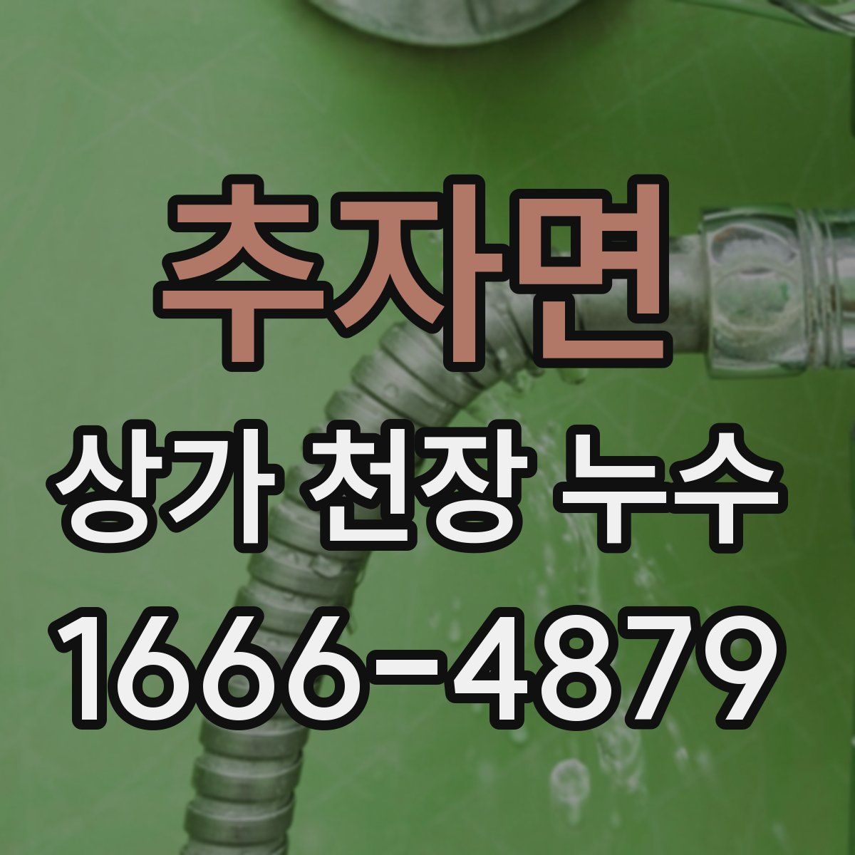추자면 상가 천장 누수