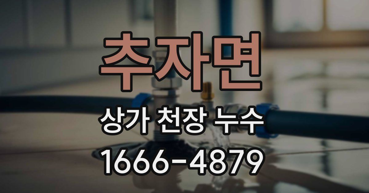 추자면 상가 천장 누수