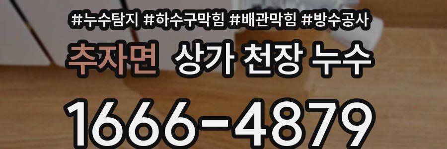 추자면 상가 천장 누수