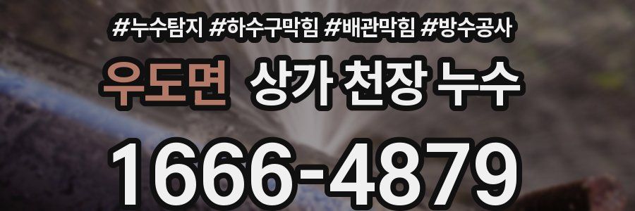 우도면 상가 천장 누수