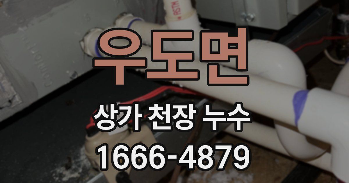 우도면 상가 천장 누수
