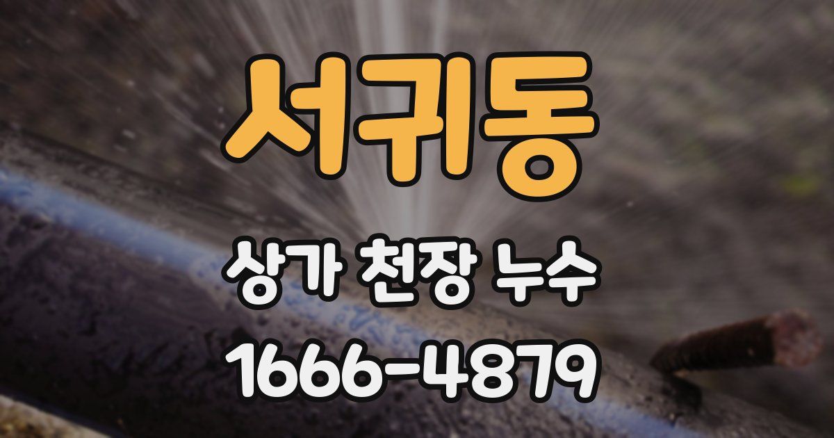 서귀동 상가 천장 누수