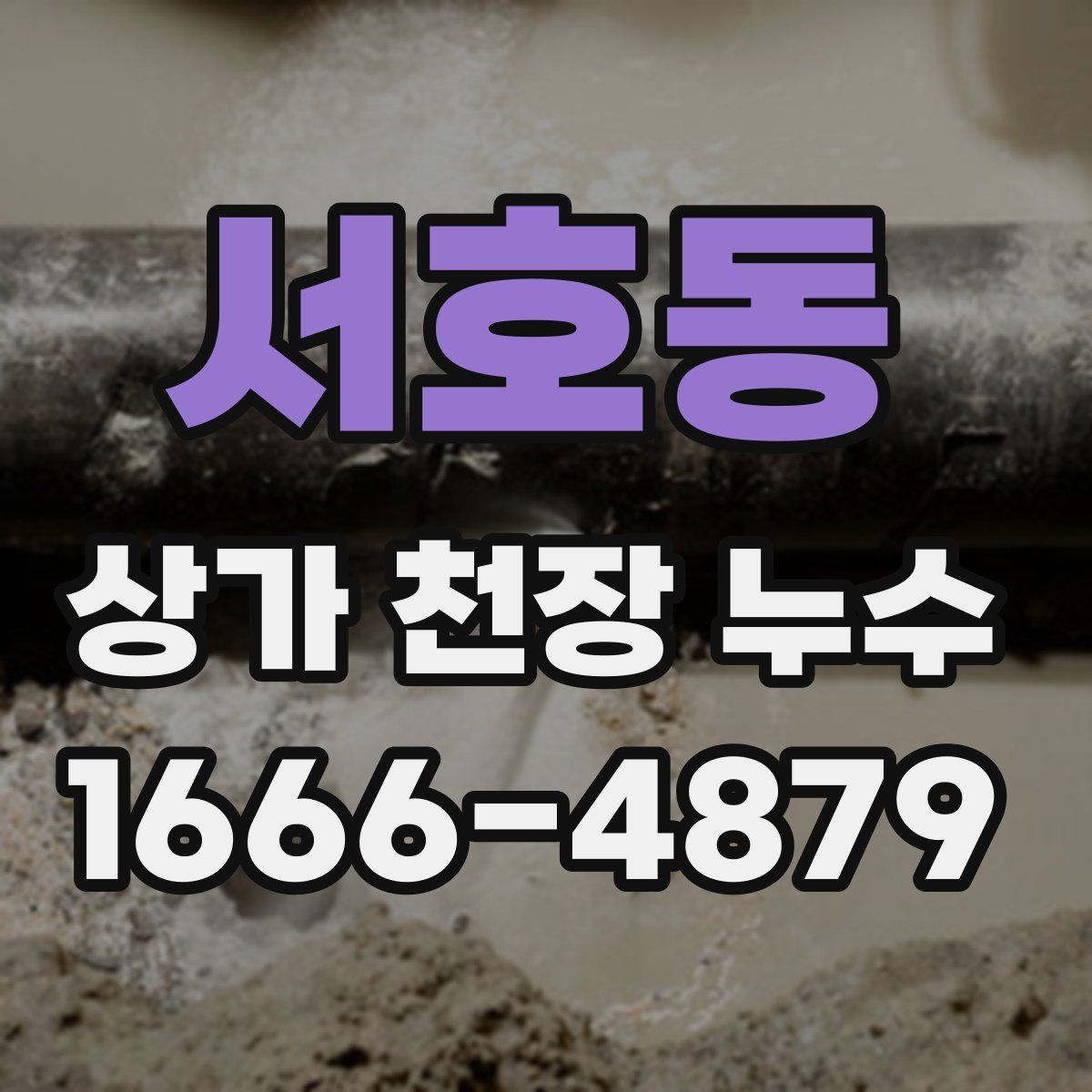 서호동 상가 천장 누수