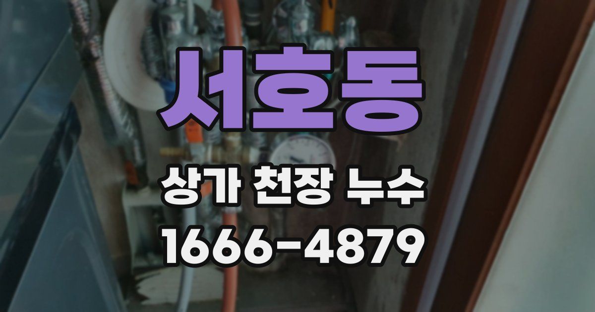 서호동 상가 천장 누수