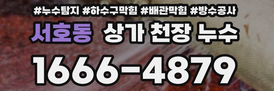 서호동 상가 천장 누수