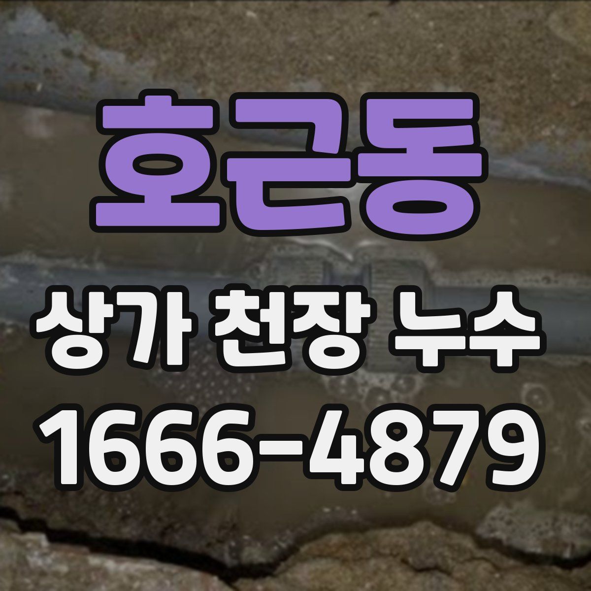 호근동 상가 천장 누수