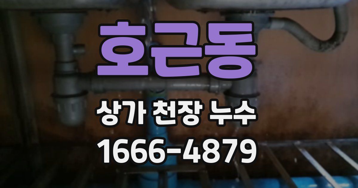 호근동 상가 천장 누수