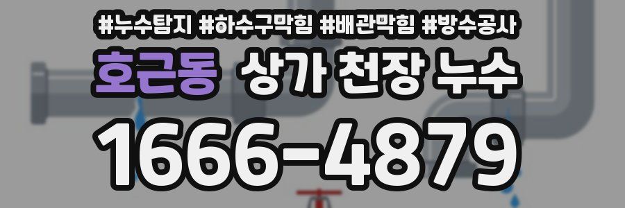 호근동 상가 천장 누수