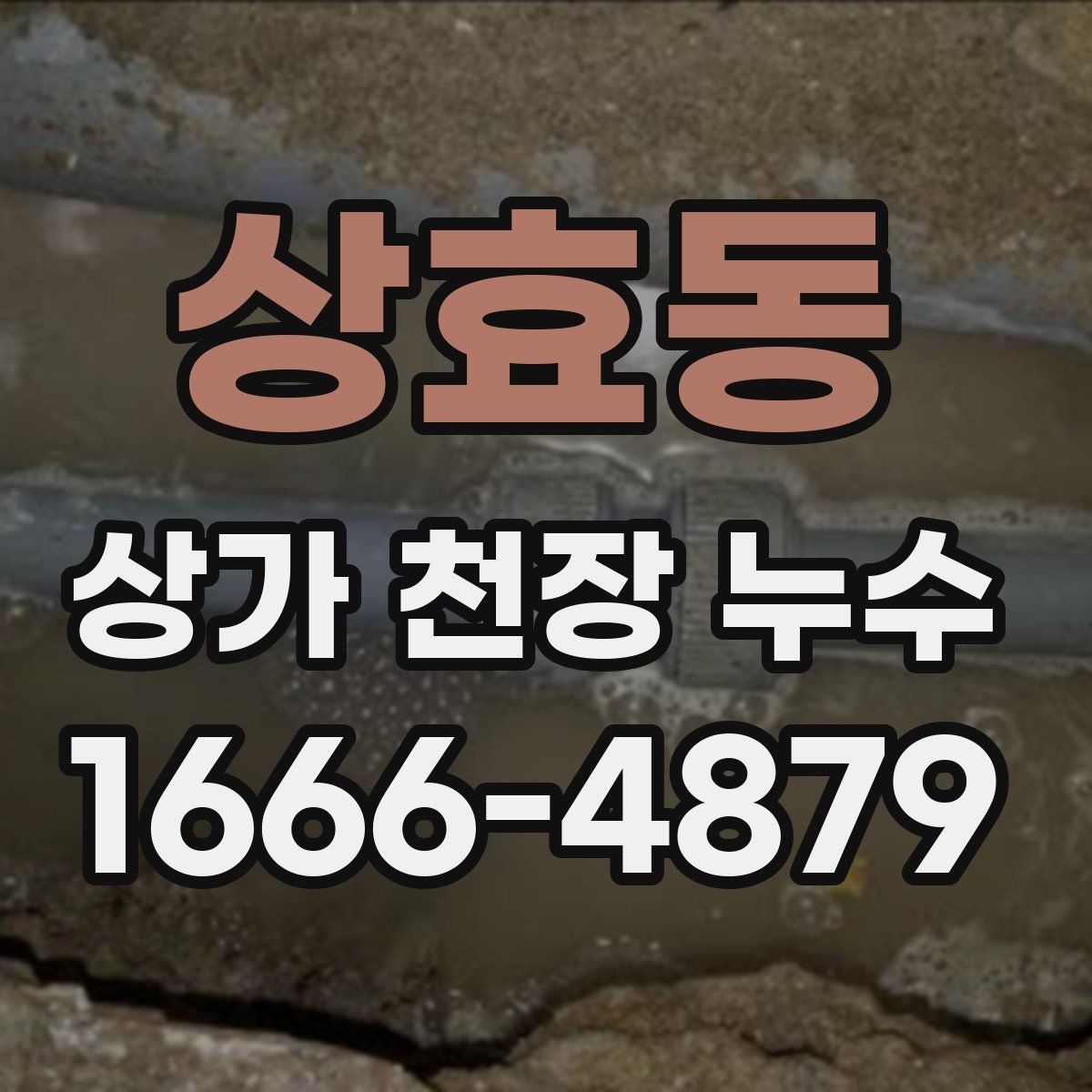 상효동 상가 천장 누수