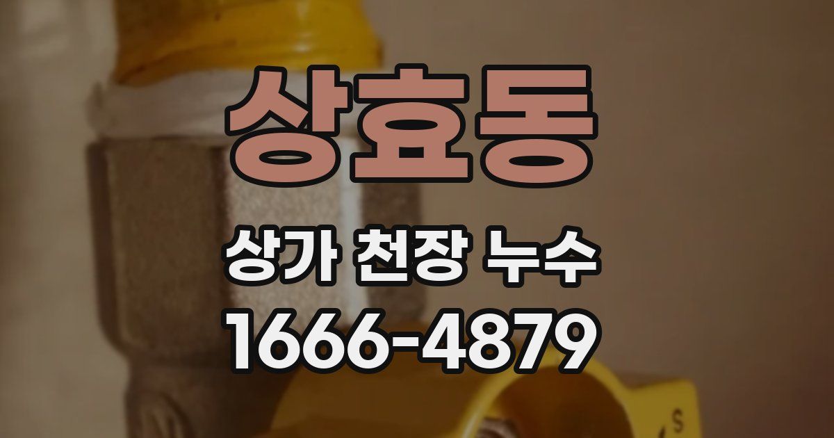 상효동 상가 천장 누수
