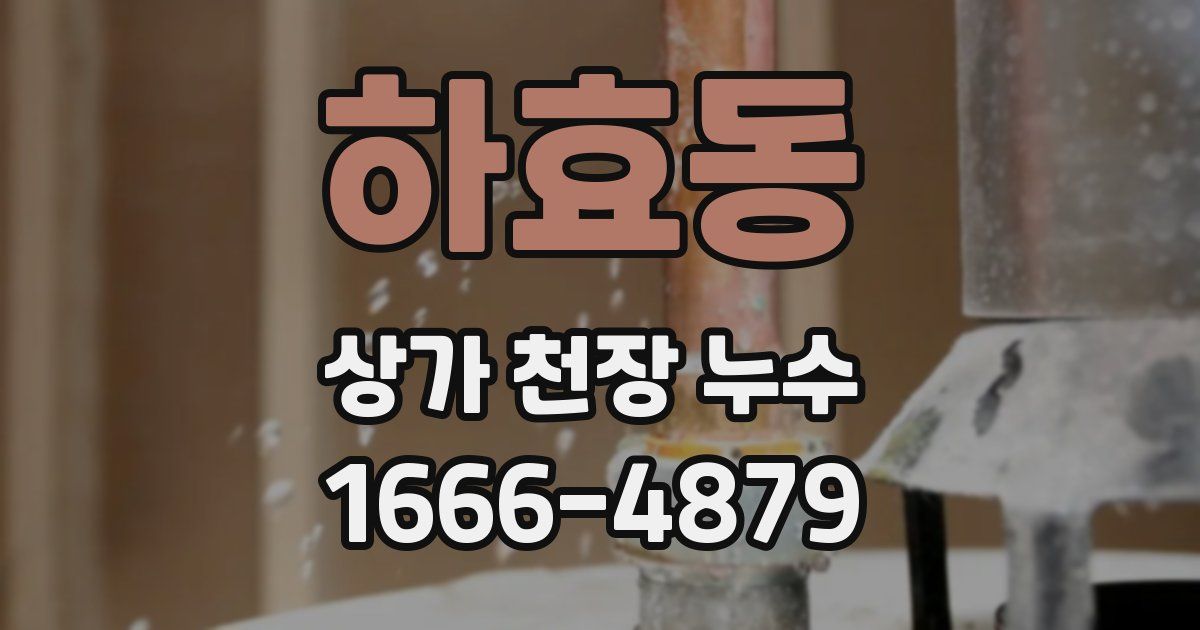 하효동 상가 천장 누수