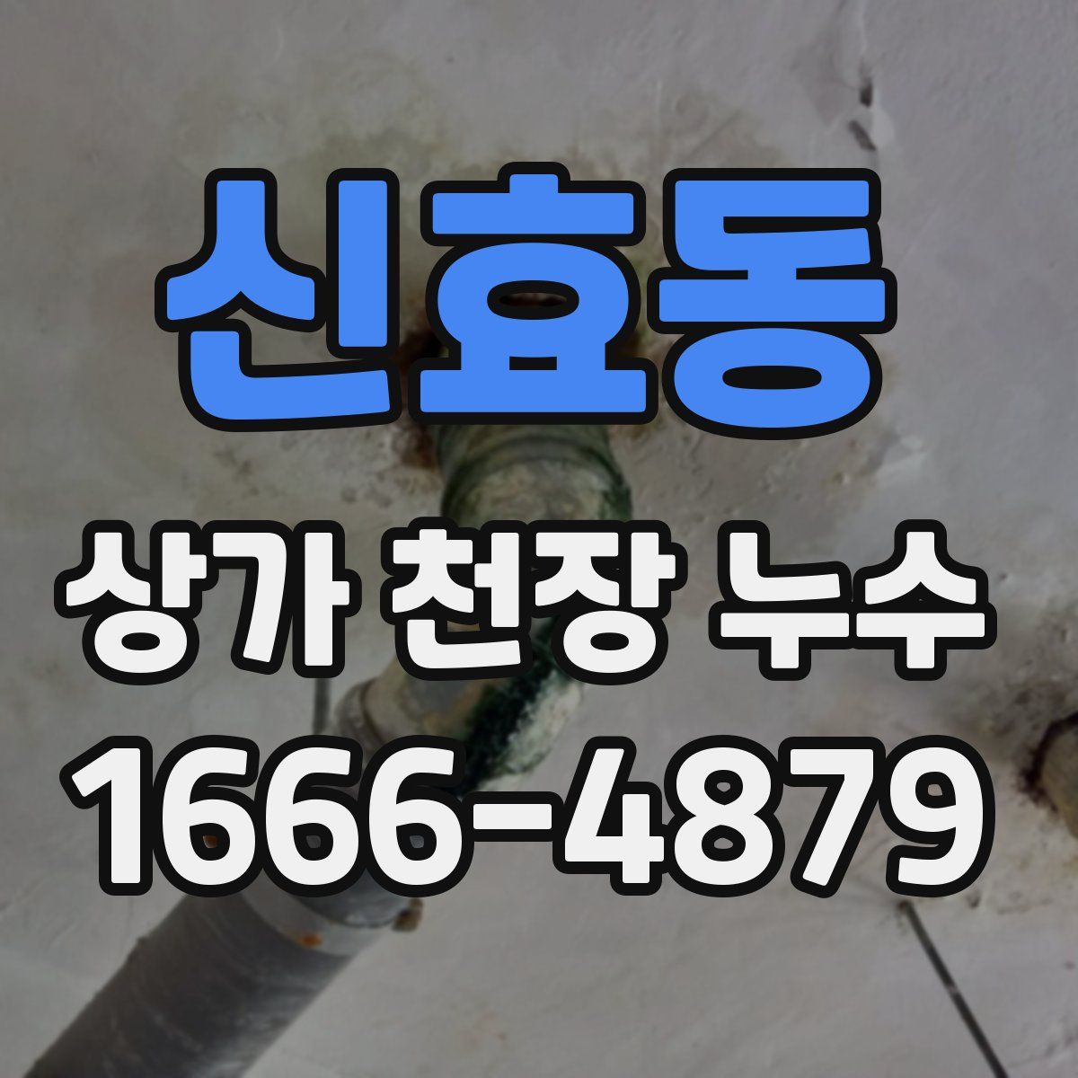 신효동 상가 천장 누수