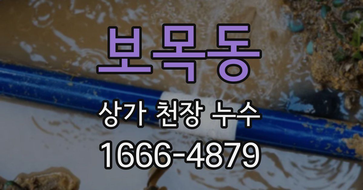 보목동 상가 천장 누수