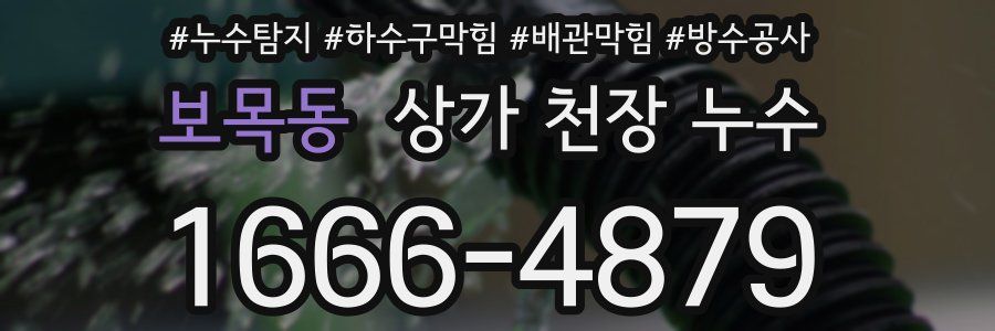 보목동 상가 천장 누수