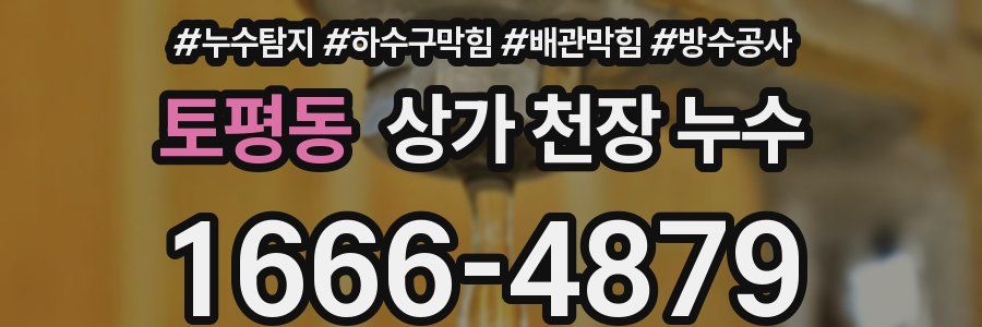 토평동 상가 천장 누수