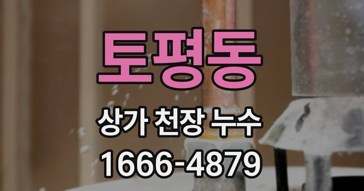 토평동 상가 천장 누수