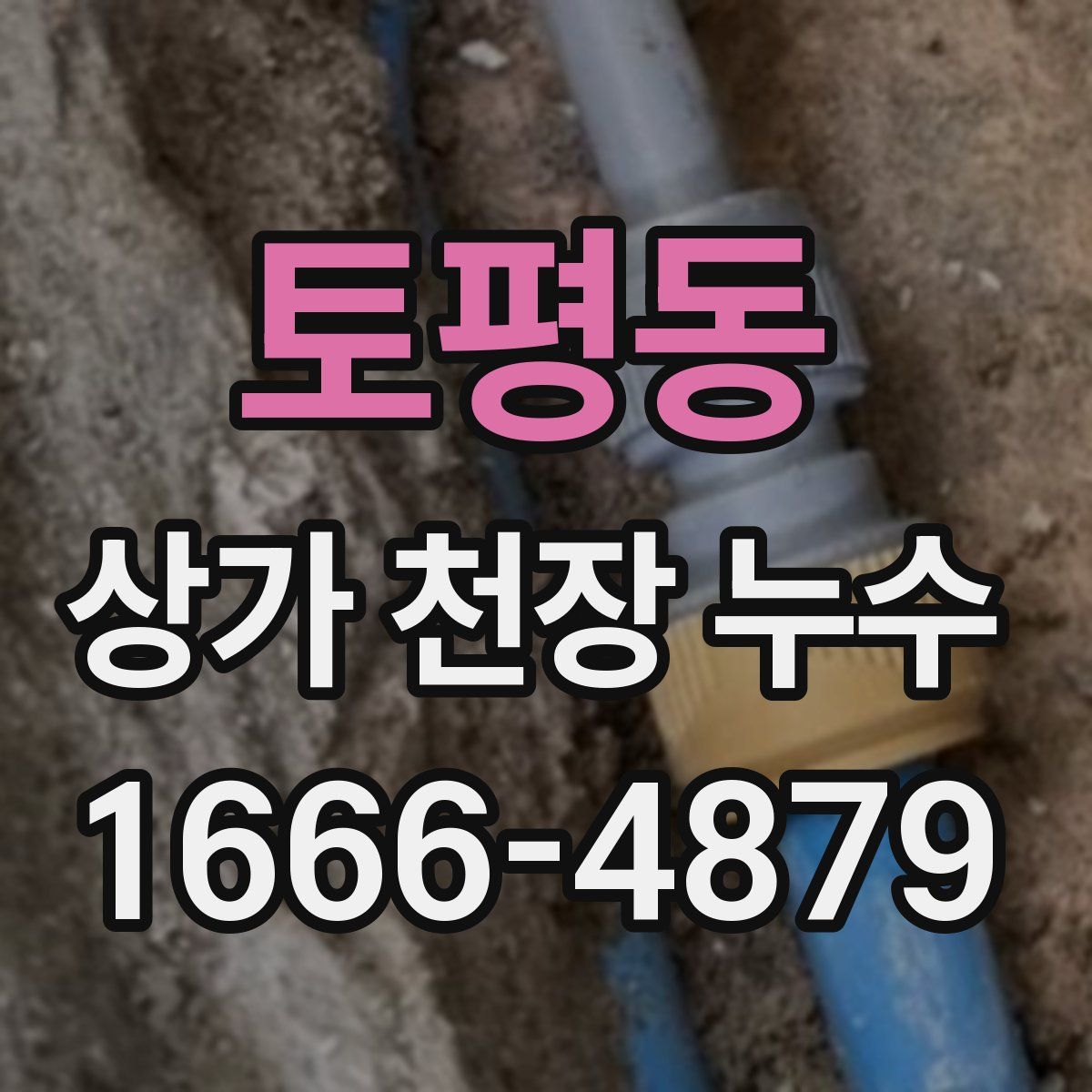 토평동 상가 천장 누수