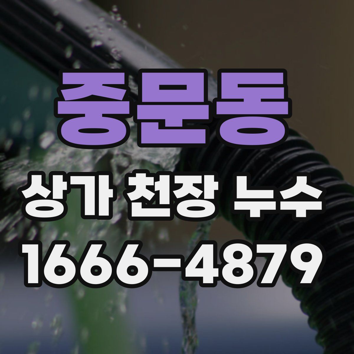 중문동 상가 천장 누수
