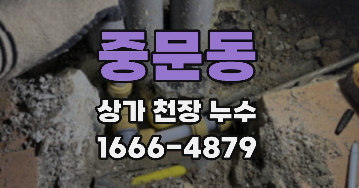 중문동 상가 천장 누수