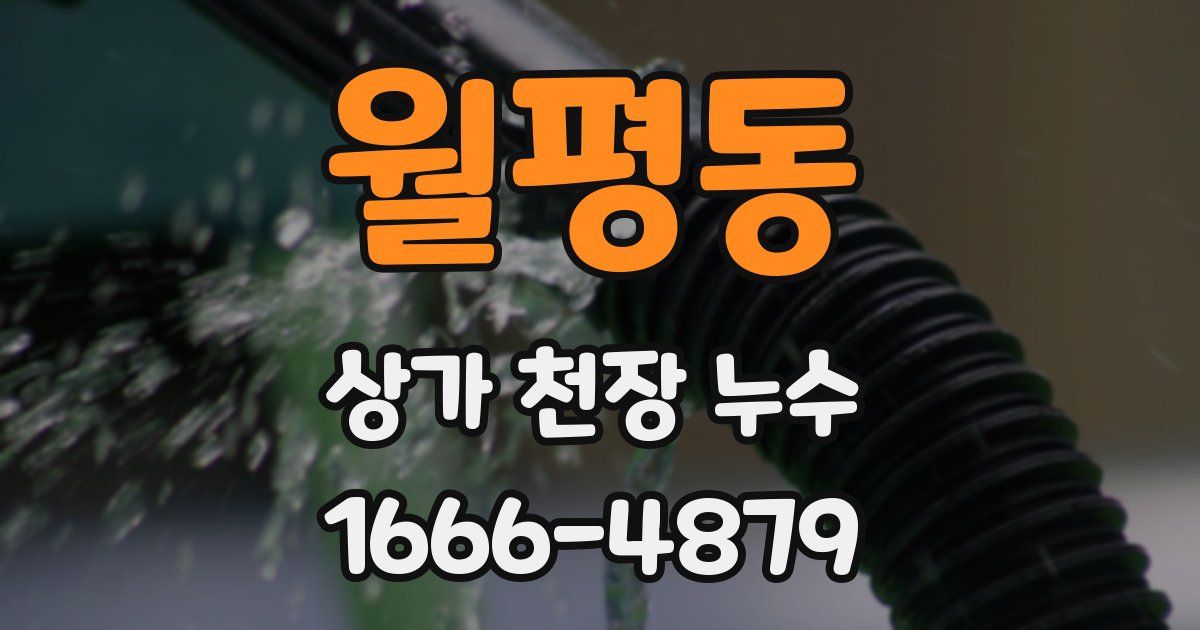 월평동 상가 천장 누수