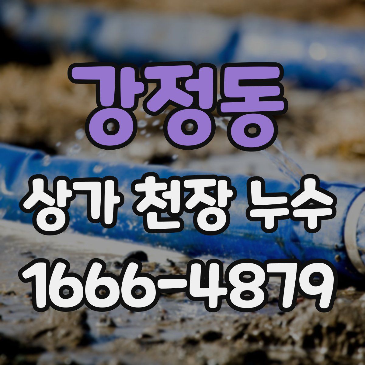 강정동 상가 천장 누수