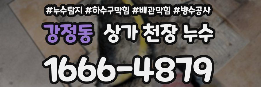 강정동 상가 천장 누수