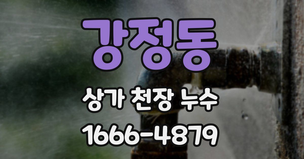 강정동 상가 천장 누수
