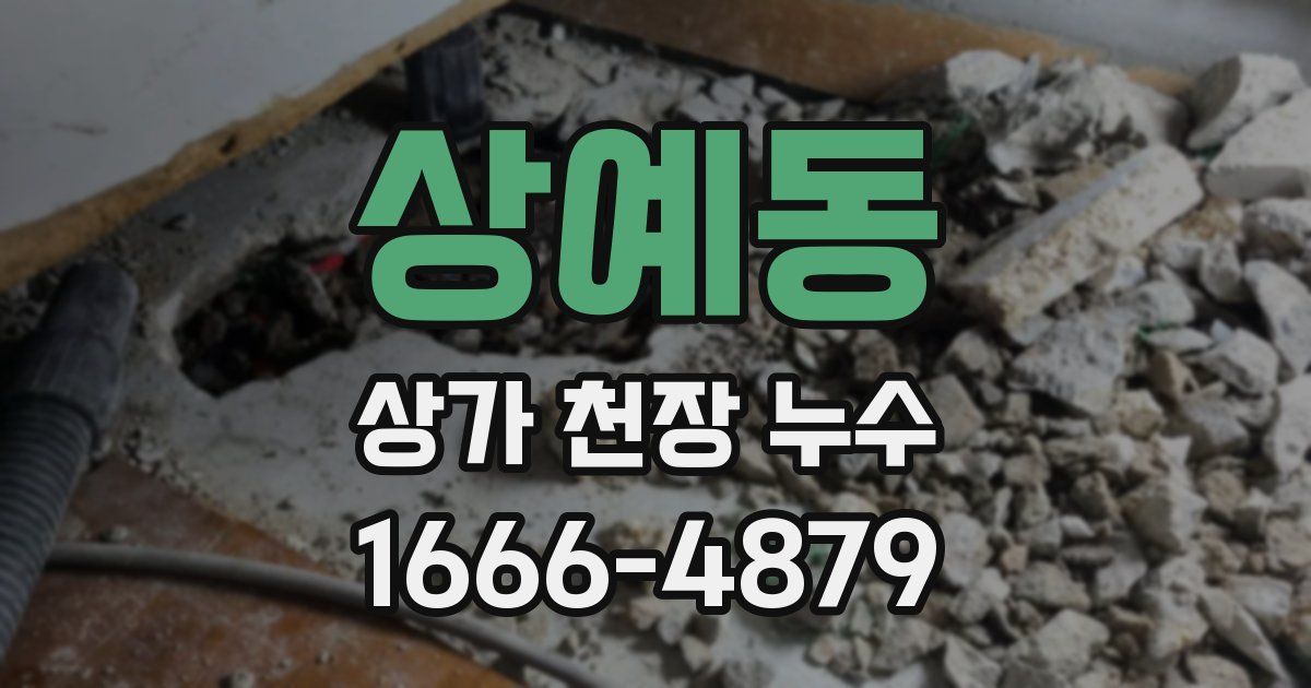 상예동 상가 천장 누수