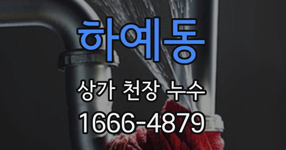 하예동 상가 천장 누수