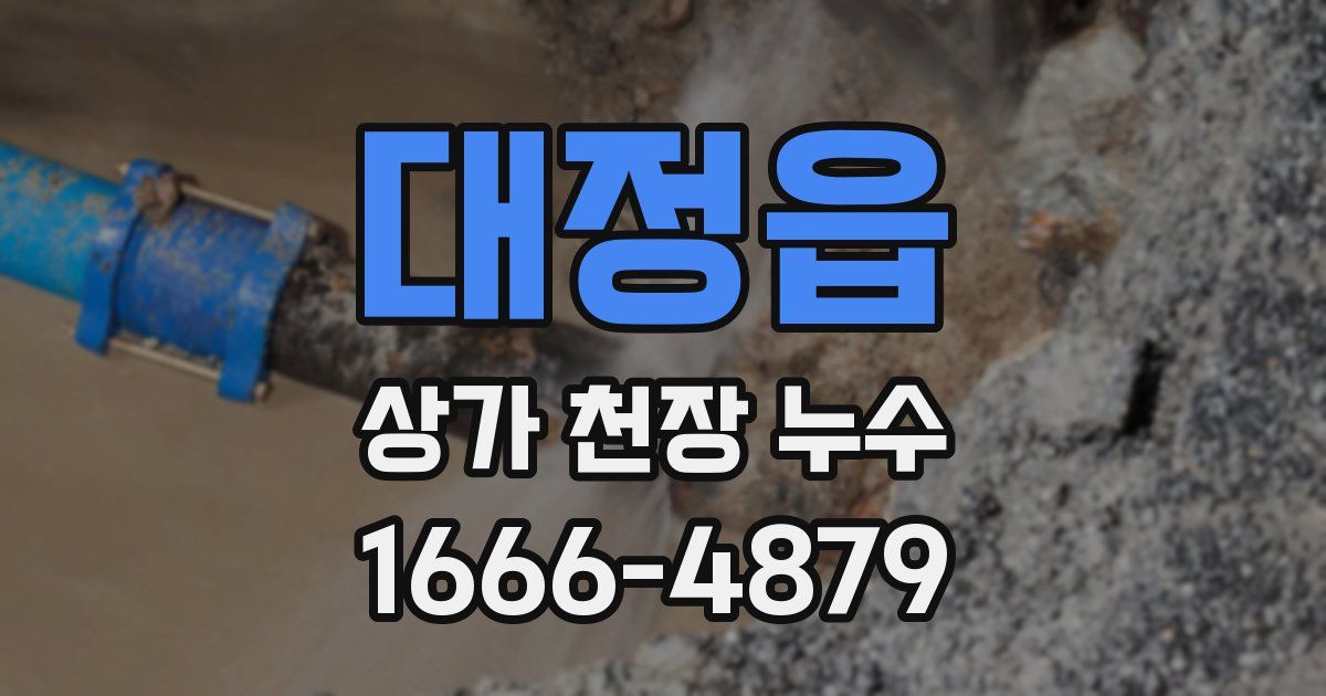 대정읍 상가 천장 누수