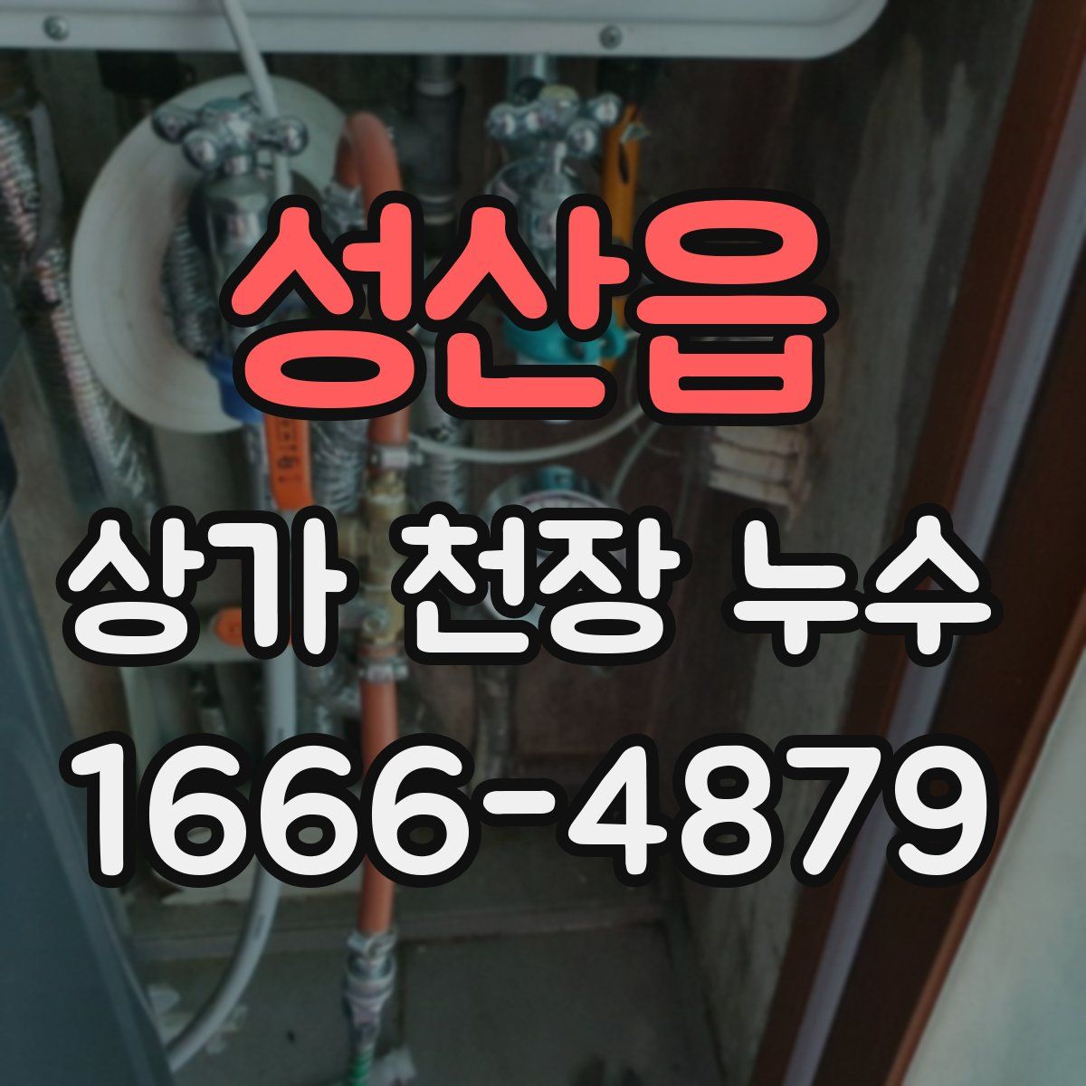 성산읍 상가 천장 누수