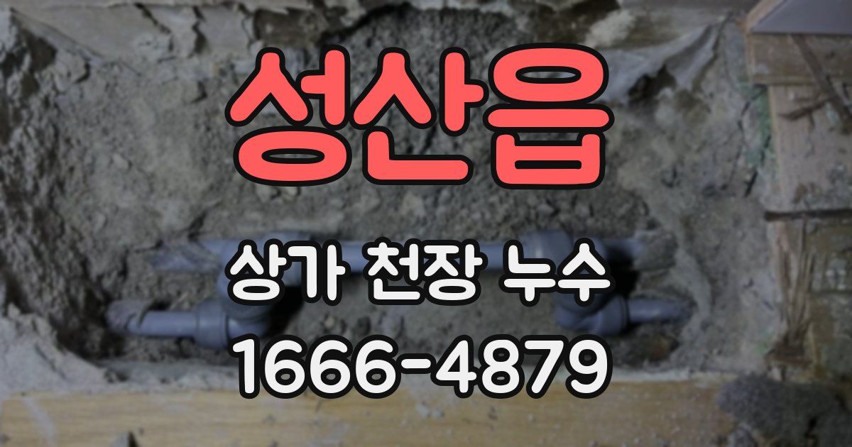 성산읍 상가 천장 누수