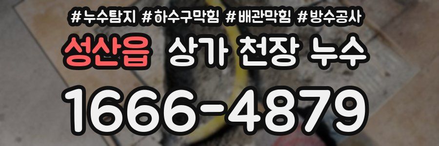 성산읍 상가 천장 누수