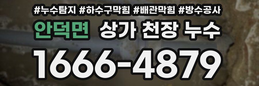 안덕면 상가 천장 누수