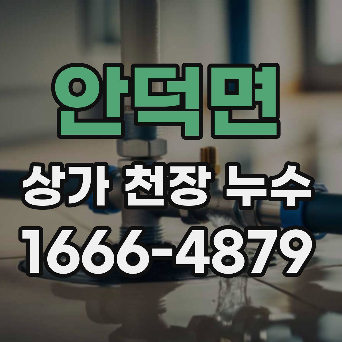 안덕면 상가 천장 누수