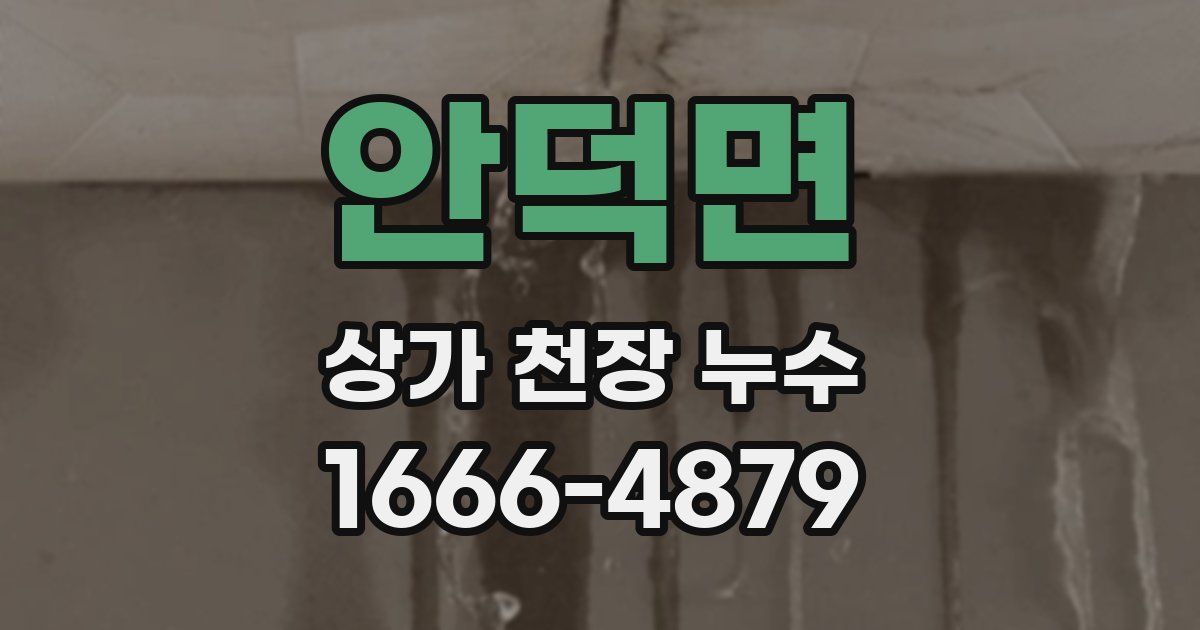 안덕면 상가 천장 누수
