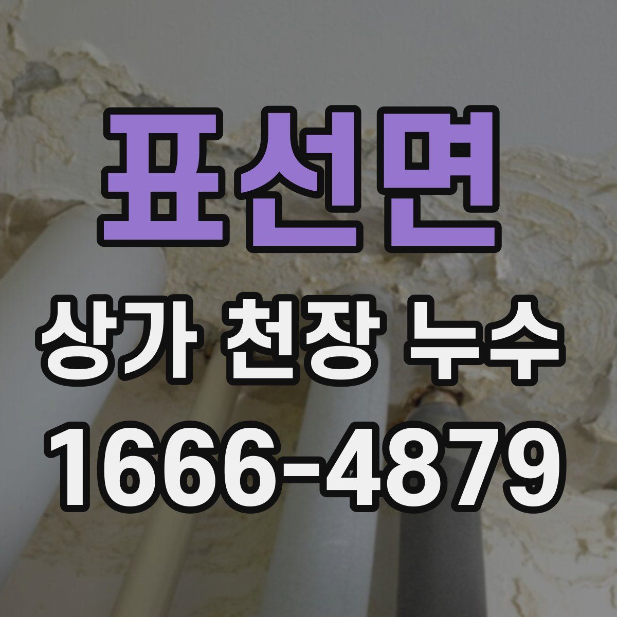 표선면 상가 천장 누수