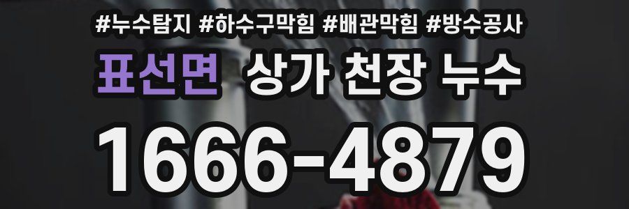 표선면 상가 천장 누수