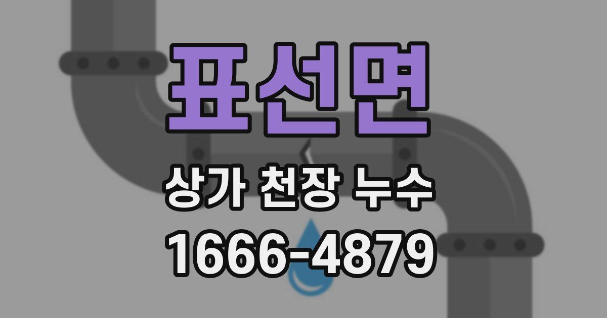 표선면 상가 천장 누수