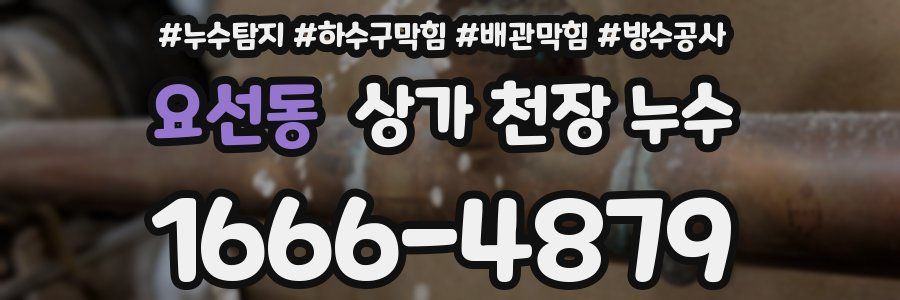 요선동 상가 천장 누수
