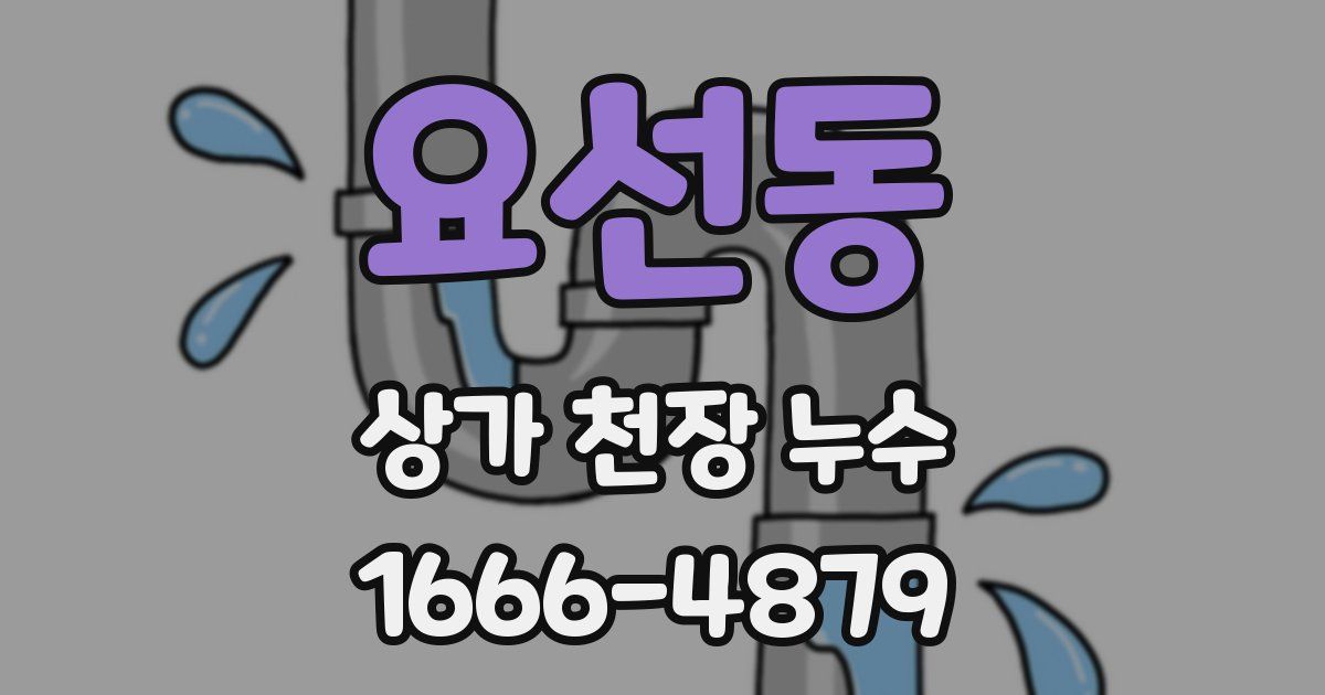 요선동 상가 천장 누수