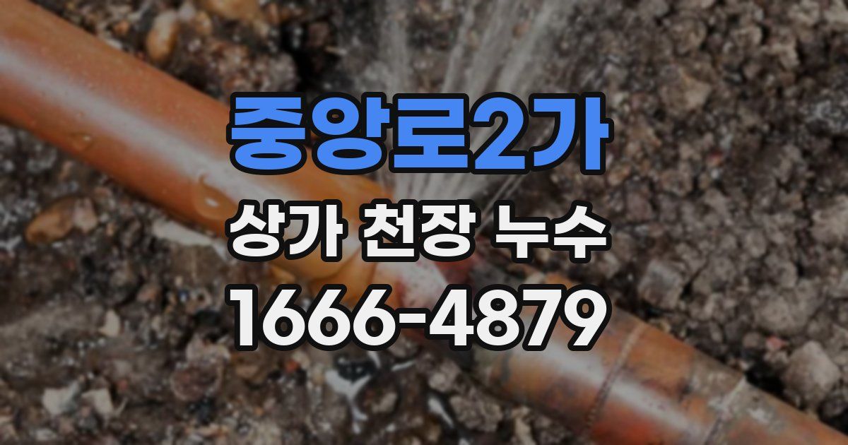 중앙로2가 상가 천장 누수