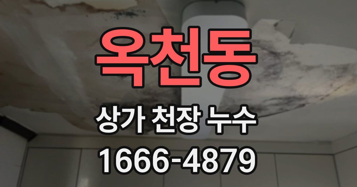 옥천동 상가 천장 누수