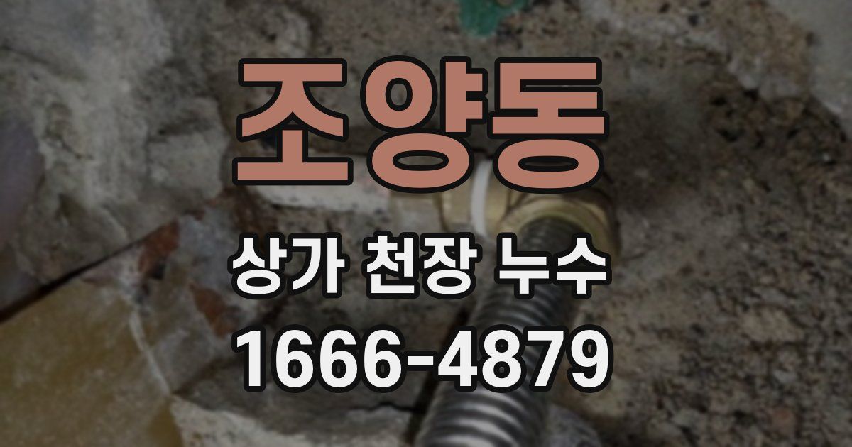 조양동 상가 천장 누수