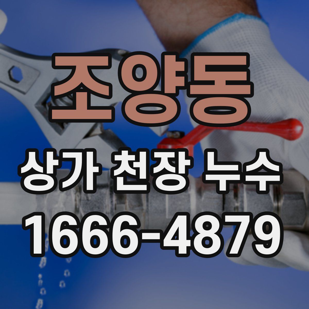 조양동 상가 천장 누수