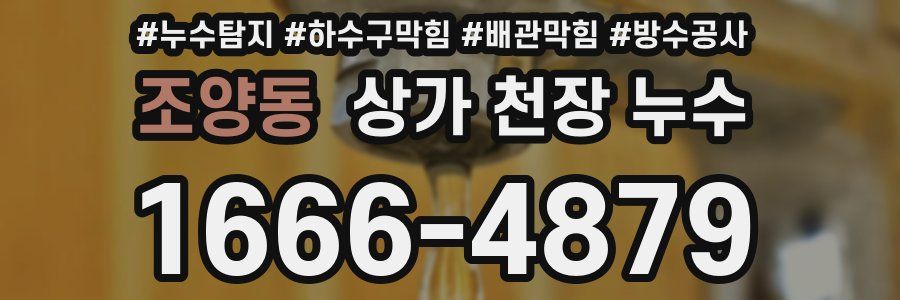 조양동 상가 천장 누수