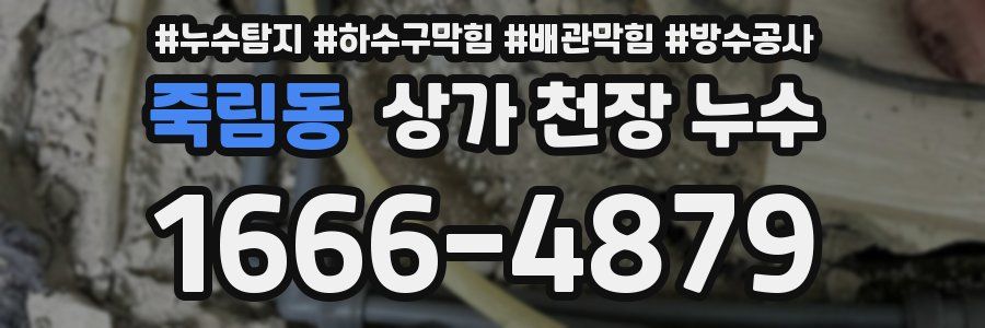죽림동 상가 천장 누수