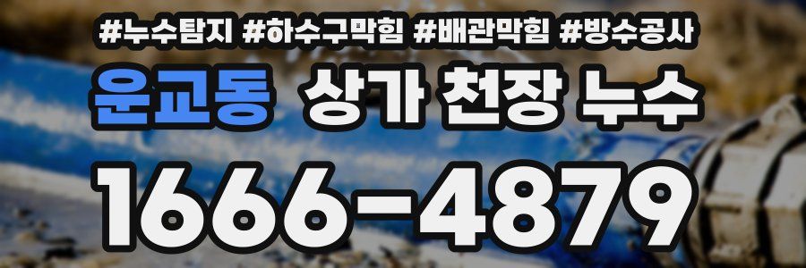 운교동 상가 천장 누수