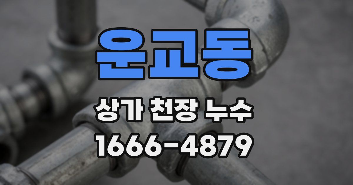 운교동 상가 천장 누수