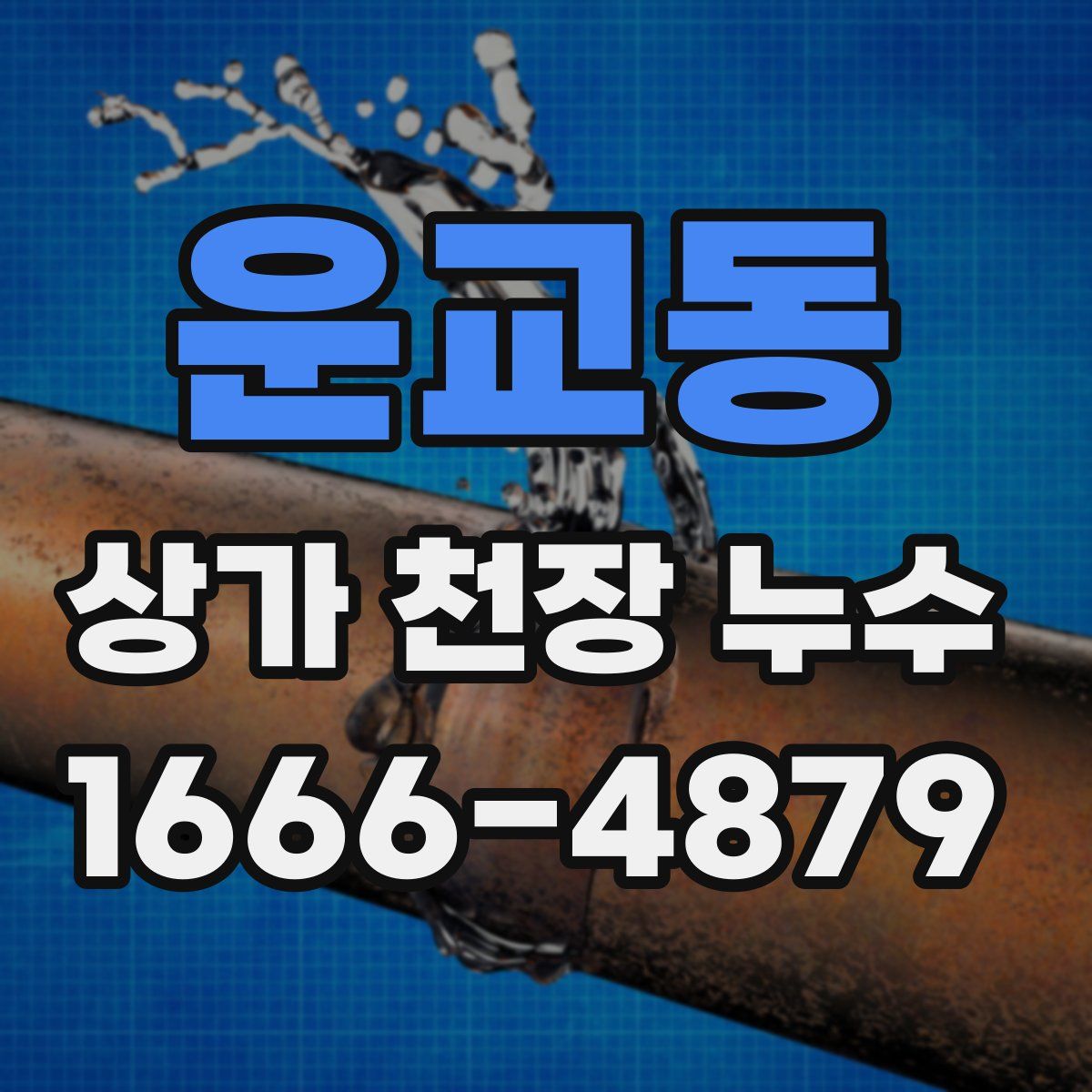 운교동 상가 천장 누수